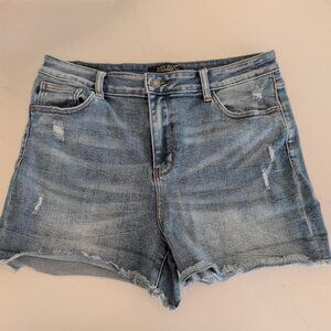 Judy Blue Sz XL Blue Distressed Denim Casual Shorts Women's High Waist jb150040